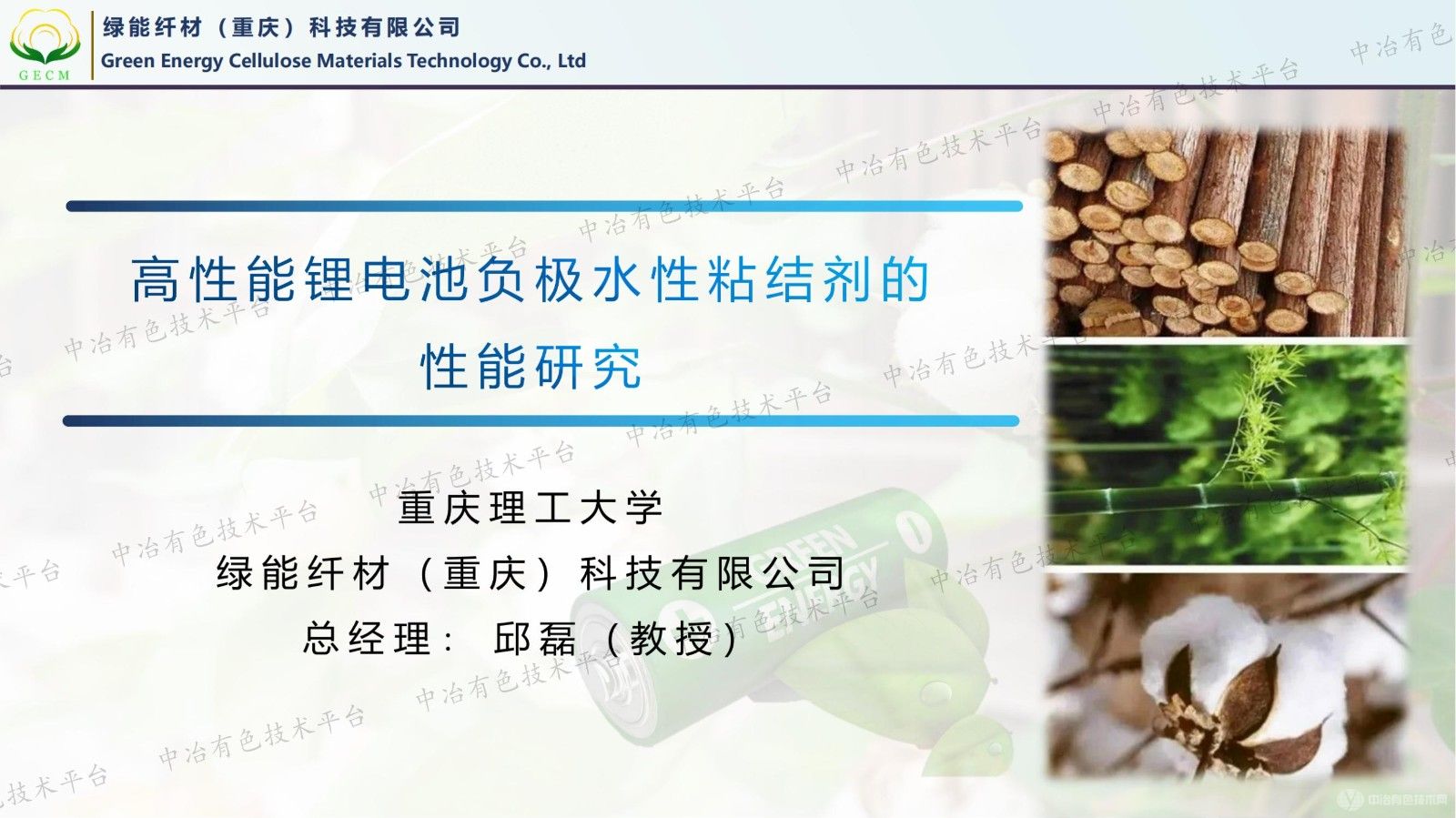 高性能锂电池硅碳负极粘结剂的性能研究