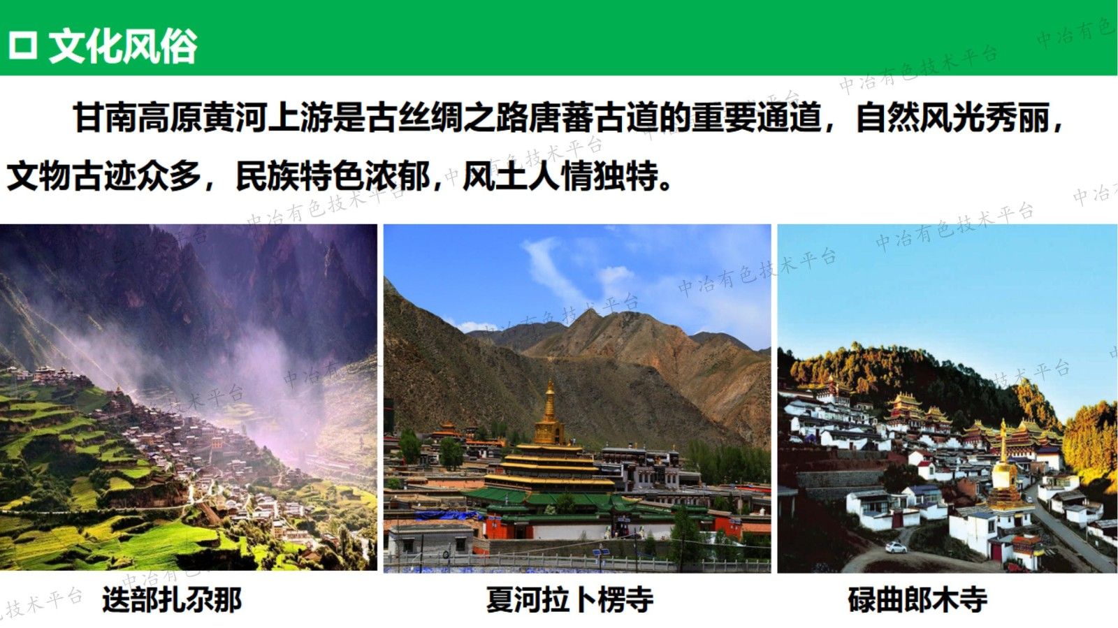 矿区重金属污染的生物修复技术与示范