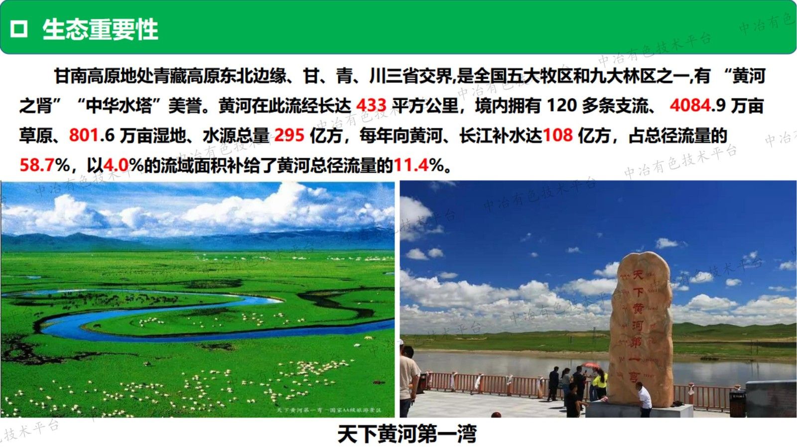 矿区重金属污染的生物修复技术与示范