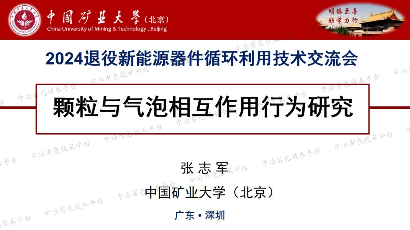 颗粒与气泡相互作用行为研究