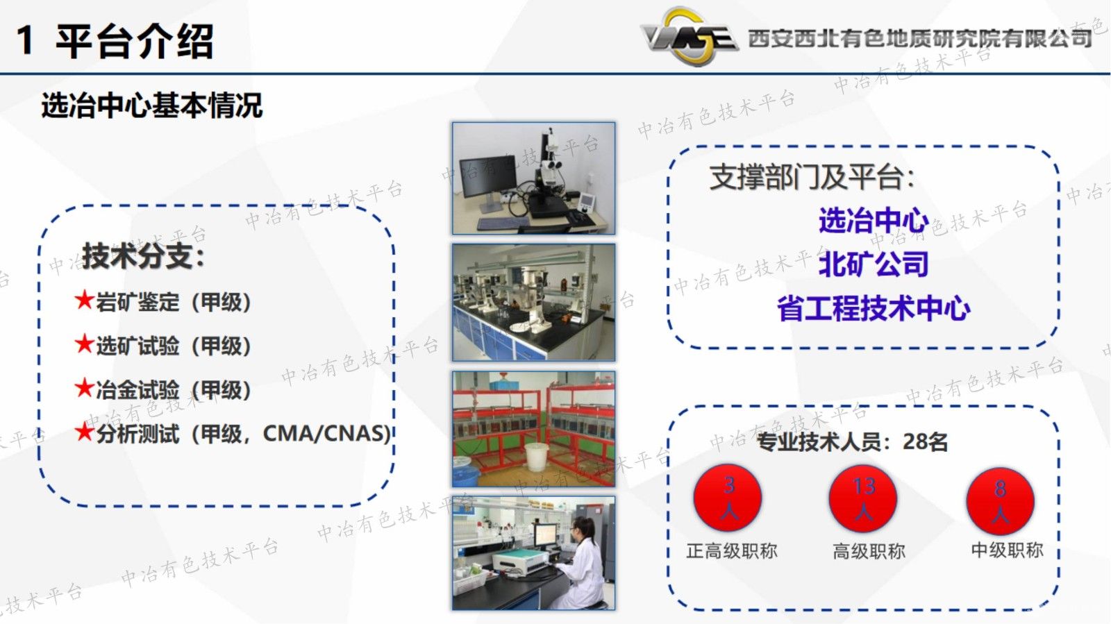 石英高效分选技术集成与工艺优化研究