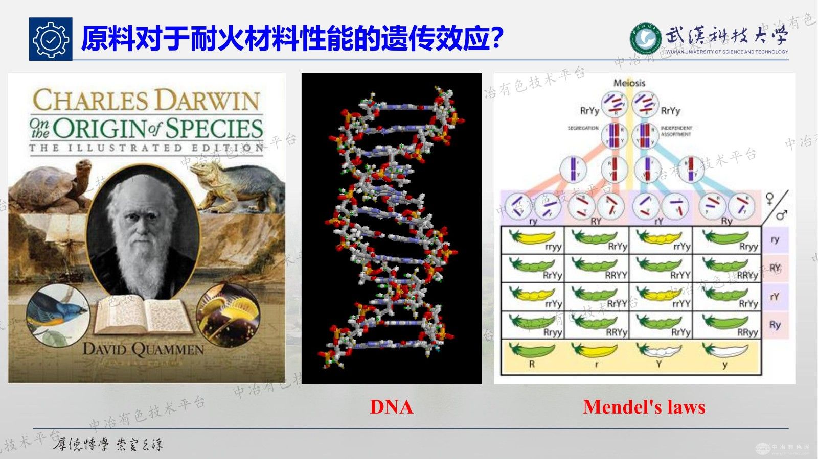 原料选择对不定形耐火材料性能的影响