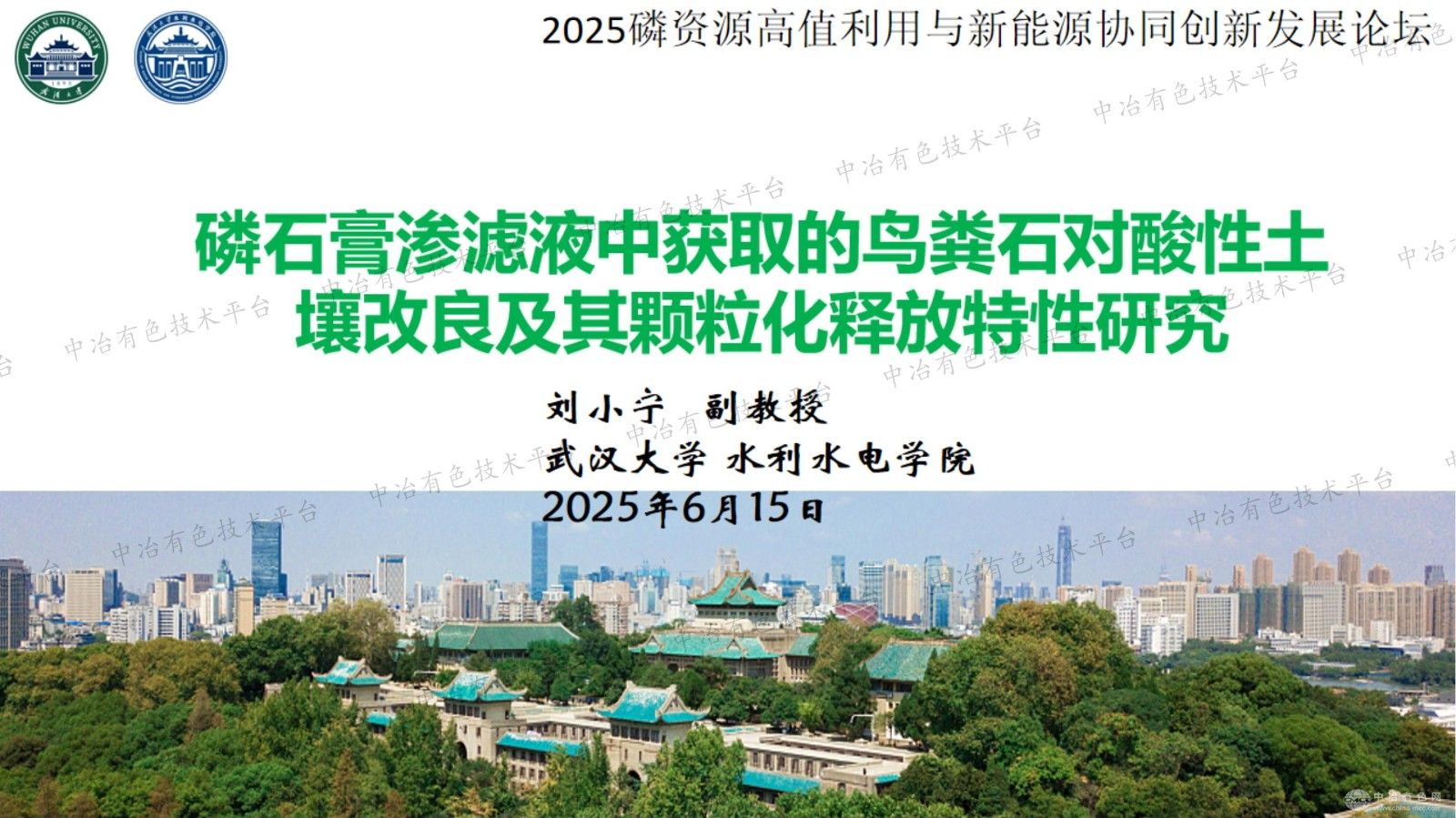 磷石膏渗滤液中获取的鸟粪石对酸性土壤改良及其颗粒化释放特性研究