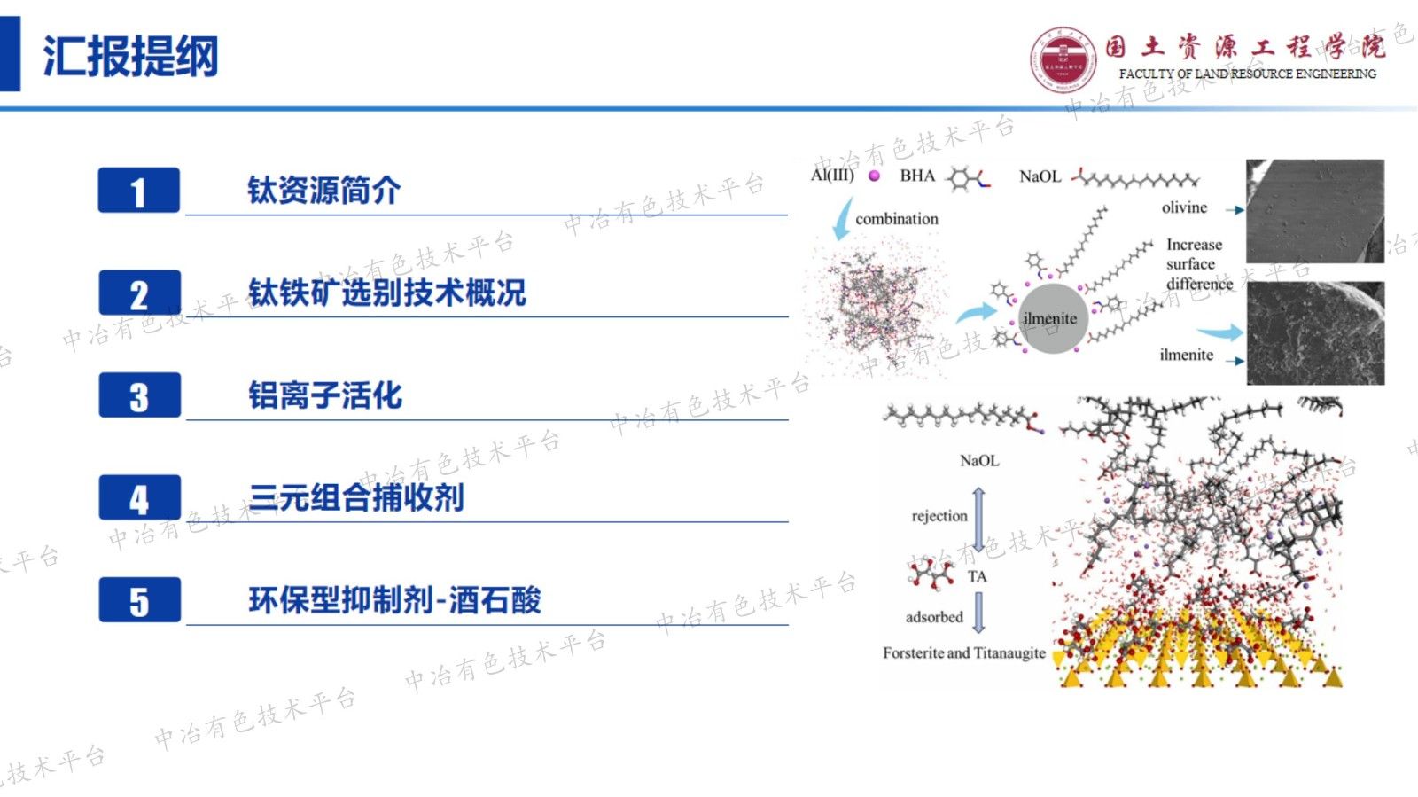 弱碱体系钛铁矿浮选回收及其与钙、镁分离机制研究