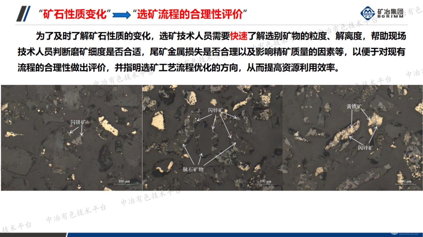 选矿产品矿物智能识别技术与评价