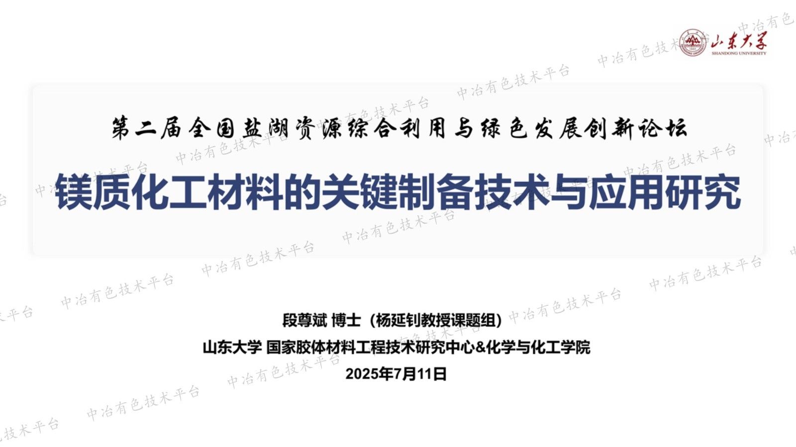 镁质化工材料的关键制备技术与应用研究