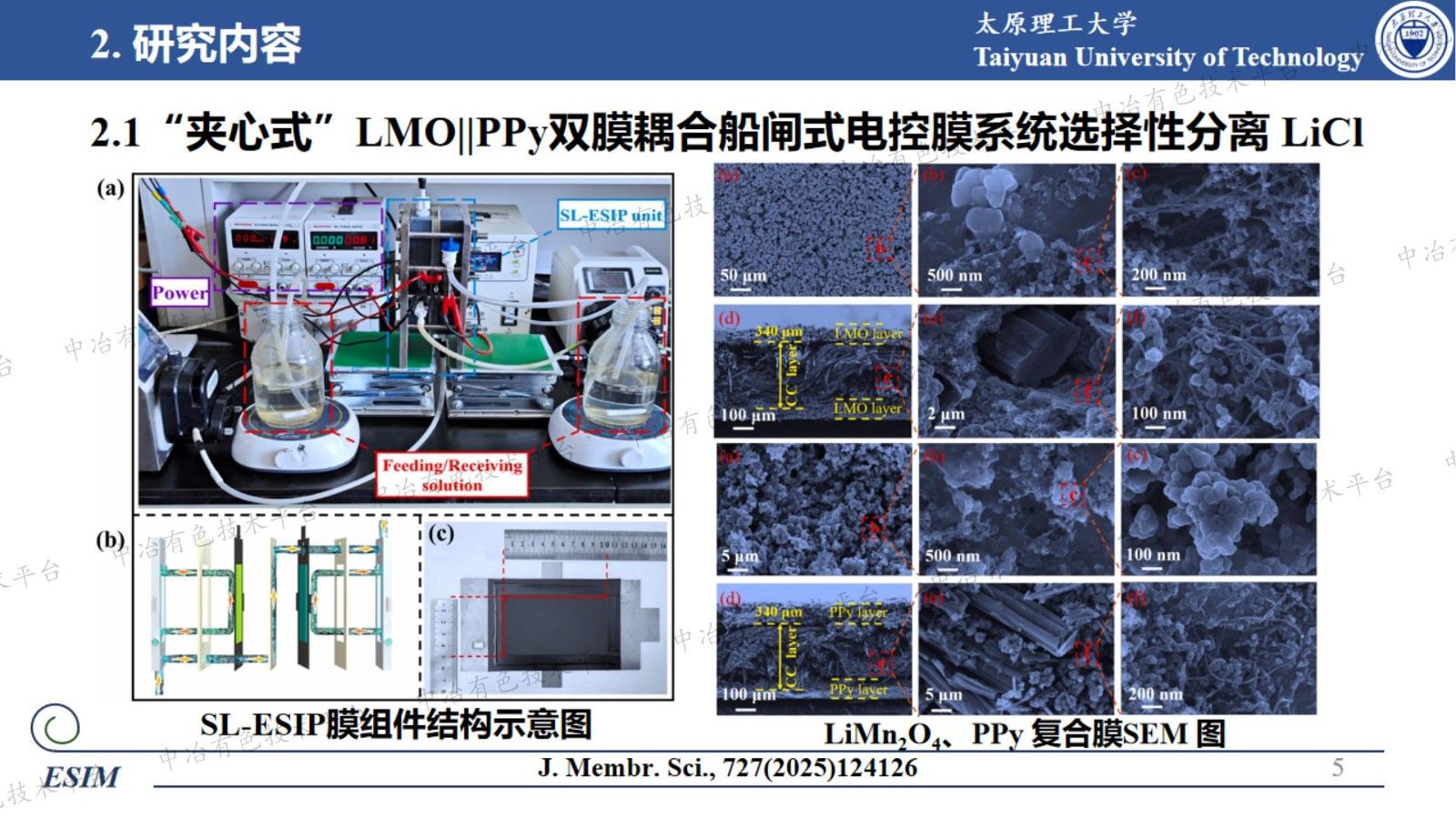 电控离子膜在离子分离领域的研究