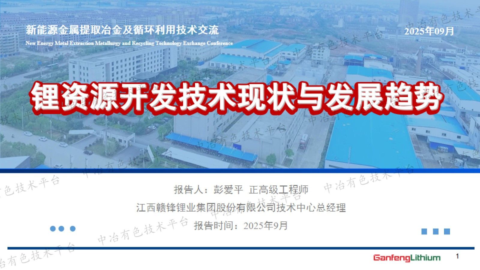 锂资源开发技术现状与发展趋势