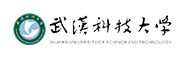 武汉科技大学