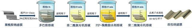 用于盐湖提锂的原位循环接枝改性聚酰胺纳滤膜及其制备方法