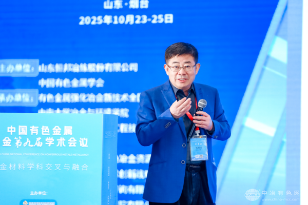 张廷安教授 作大会报告