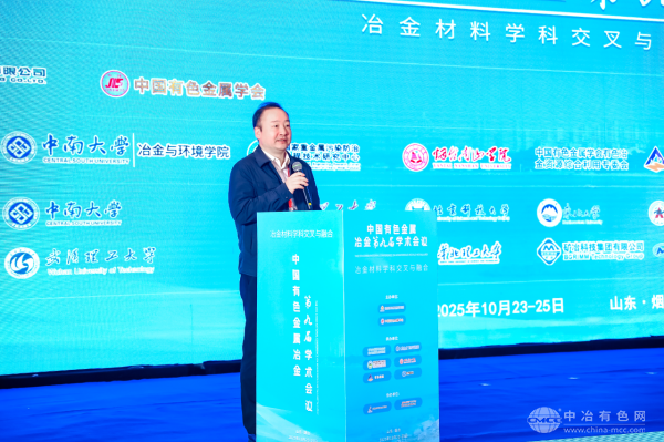 闵小波教授 主持大会报告