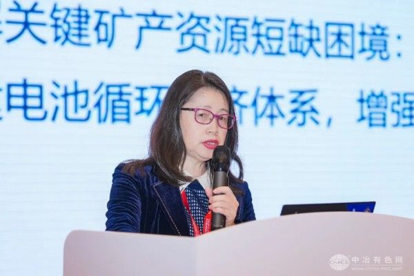 昆明理工大学张英杰教授